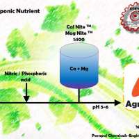 ไฮโดรโพนิก ไฮโดรโปนิก ปุ๋ย ธาตุอาหารพืช ไทก้า ไฟโทนิกส์ ฮิป Hydroponic fertilizer nutrient